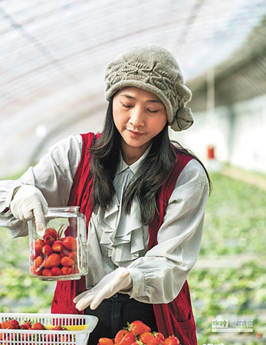 �_�r(n��ng)�δ���׼ҡ���ݮ�t(y��)Ժ��Ժ�L