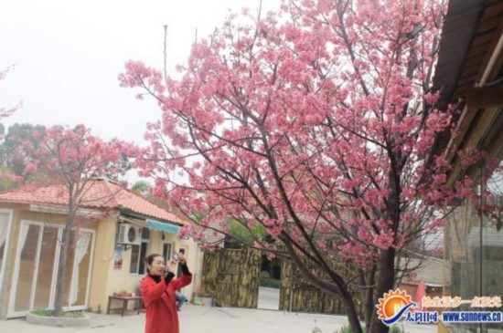 �_(t��i)���ѻ��ڏB�T(m��n)��݈@ŭ�š��ɔzӰ��ِ����(�D)