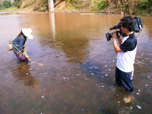 �_�������ҕ�_�����p��{���Ĕz��(ji��)Ŀ