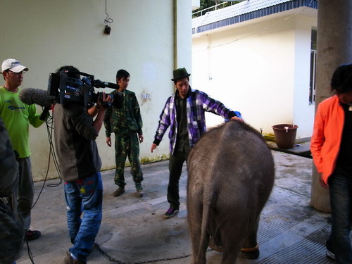 �_�������ҕ�_�����p��{���Ĕz��(ji��)Ŀ