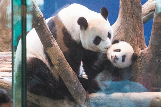 ���f(w��n)�ˠ�(zh��ng)���_(t��i)������؈��������Q��߀Ҫ�ف�(l��i)��