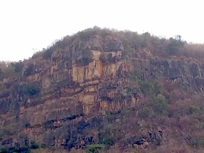 �����������x��ɽ������Ę����������Ҋ�������_(t��i)ý