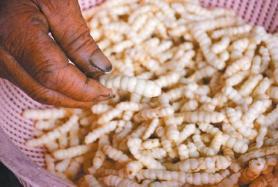 �_���r(n��ng)��N���߽�(j��ng)���߲ˡ���ʯ�Q�����D��