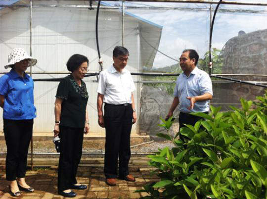 民革中央一行走訪考察 民革中央一行走訪考察