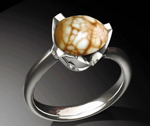 �W(w��ng)�ѐ�����~���Ÿ��D�����W(w��ng)�j(lu��)�D��