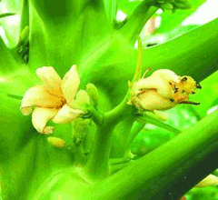 �_���ߜ؁��u���uҲ���� ľ���_�����λ�