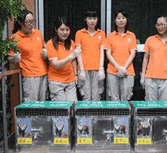 ���ٛ(z��ng)�_(t��i)С��؈���g�g���������_(t��i)��