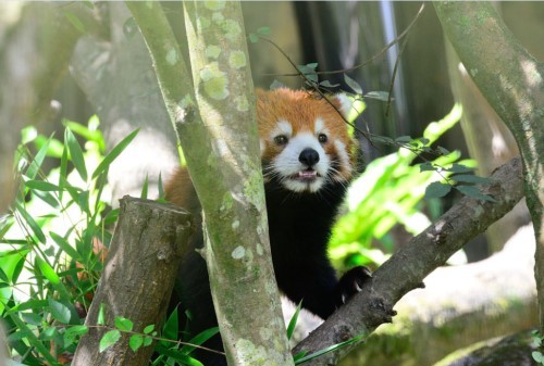 �����Ը��ݵ�С��؈�g�g19�����࣬����̎����ƨ�ɡ������_ý�D��