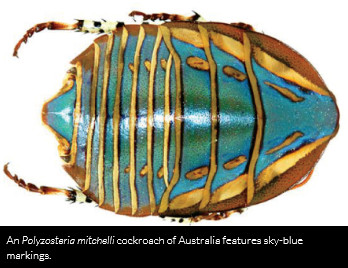 "�������"�����{(l��n)��ʯ �_�W(xu��)�ߣ�"С��(qi��ng)"������������