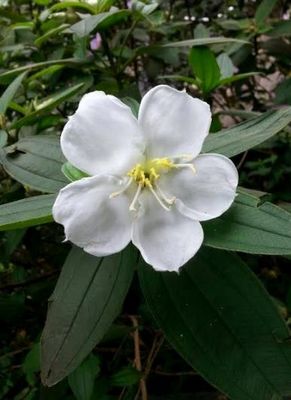 Ұĵ���鲼�_(t��i)�� �G����ݔ��������(�D)