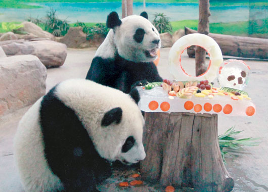 ٛ�_����؈�F�F���A�A�^10�q���մ�е��⣨�D��