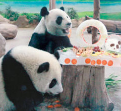 ٛ�_����؈�F�F���A�A�^10�q���մ�е��⣨�D��