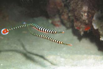 �_(t��i)���ɹ���ֳ�����y�߹�(ji��)��������ȫ���������D��