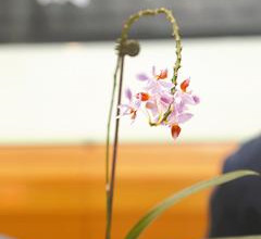 �_(t��i)���ɹ���W(xu��)�ƽ��m�������g�a ϵȫ������