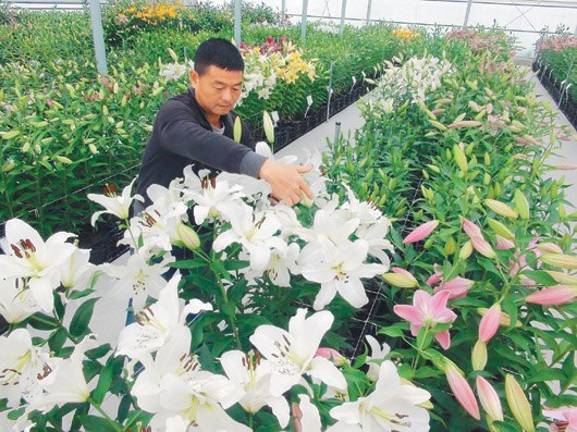 �_�л��r(n��ng)���k�ٺϻ���(ji��)165Ʒ�N���涷�G���D��