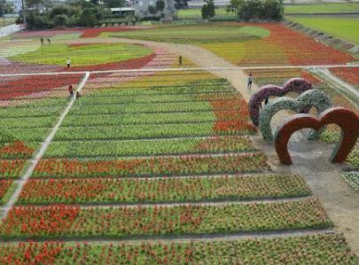 �_(t��i)�|���νY(ji��)�ϷN�� �����ο��w�(y��n)