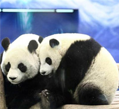 �_(t��i)��������`�` ����؈���A�С�������ȡů