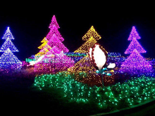 臺(tái)灣北海岸展繽紛圣誕燈飾 打造冬日秘密花園 臺(tái)灣北海岸展繽紛圣誕燈飾 打造冬日秘密花園