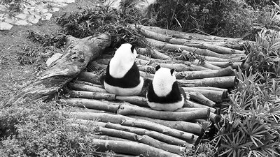 ٛ(z��ng)�_(t��i)����؈�����������A�С��L(zh��ng)���ˌW(xu��)��(x��)��(d��)������