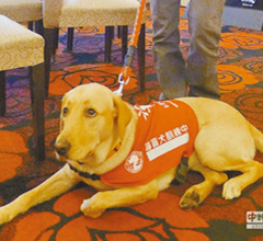 ��(d��o)äȮ�y�����B(y��ng)��ͥ �����ҡ����֋���