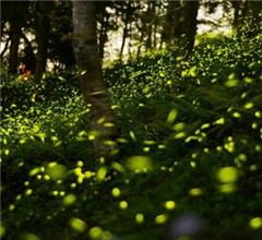 �_(t��i)�����@���조Ξ���x(ch��ng)��Ϣ�ء� �[�Ѕ^(q��)�cΞ����