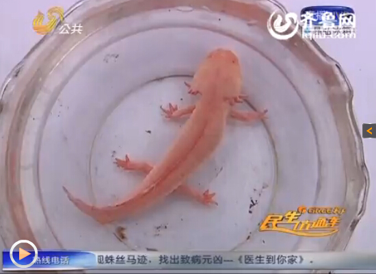 �����~��ȫ��]���[���ʷۼtɫ����ҕ�l�؈D��