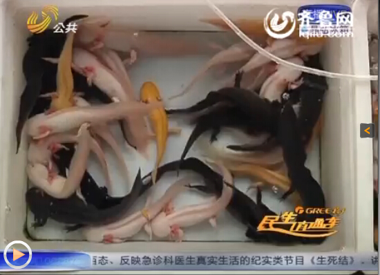 �u���Fɽ���@�T�ڵ��~�x�Ј�(ch��ng)�в����̑������N���@�N���ǿ�������ҕ�l�؈D��