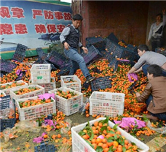 ·����؛܇(ch��)��(c��)��؛���ۃr(ji��)�u(m��i)�f(w��n)��ɰ����