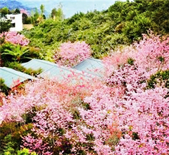 �_�������p����ȥ̎����������_ ���ǻ����_��