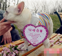 �ɶ��������ȹ������@��(n��i)������Ó�������^