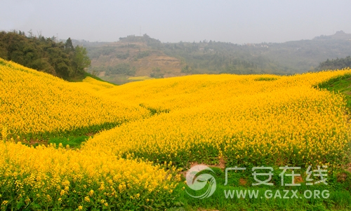 �Ͳ˻��_(k��i)����ؽ��S ȥ�Ĵ��V���w�(y��n)���`���l(xi��ng)��֮����