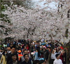 �Ͼ��p���ξ��� �D�����l��