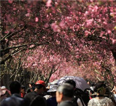 �������Σ�����(n��i)ʮ�����΄ٵز����e�^