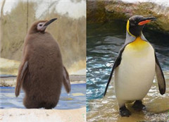 �_(t��i)����(d��ng)��@��(gu��)�����Z�Q��ë ݆���]�P(gu��n)��Ҋ(ji��n)��