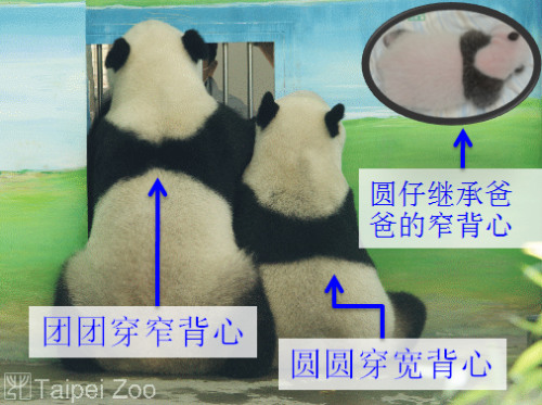 ���F�F�������A�A���ı����ڰ�Ҳ��ͬ��