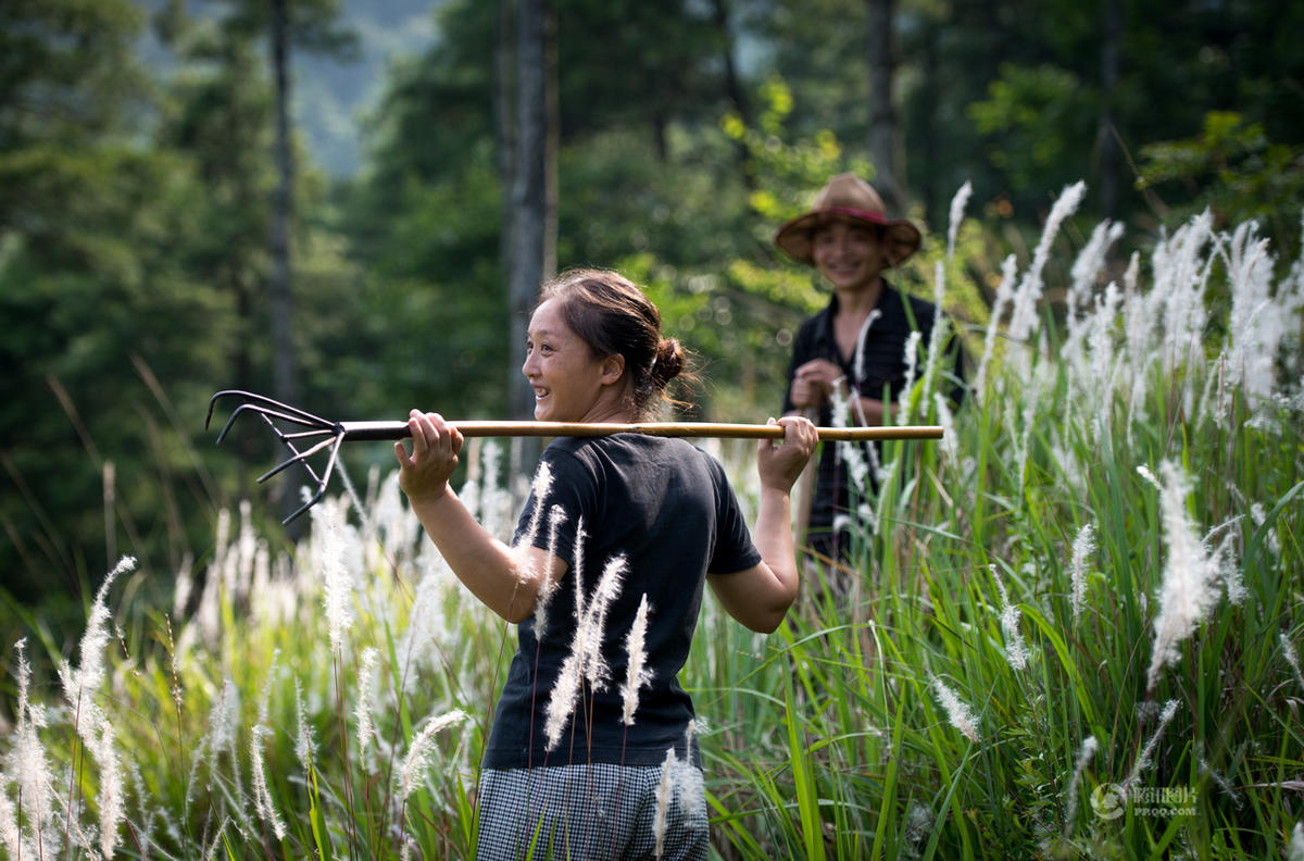 �����[����ɽ18�� ���o(h��)�f��ɭ��