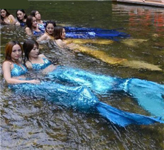 �����Ͷ��ӡ������~(y��)���̌W(xu��)�_(k��i)�� �οͳ˴����^���~(y��)��