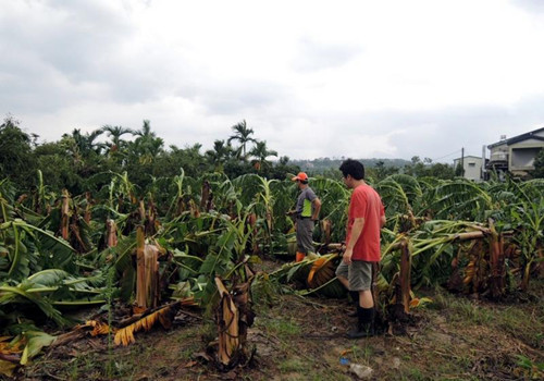 �_�L(f��ng)���K���_���M��ȫ�_�r(n��ng)�I(y��)�pʧ��6�|��ɏ��K��