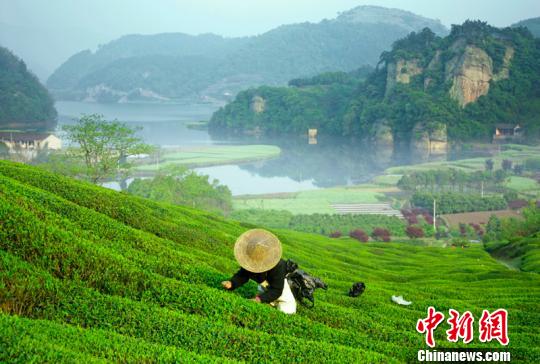 �㽭�²��c���G���ɽ�����+�����츻��C���w