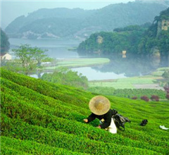 �㽭�²��c(di��n)���G���ɽ� ������+�����츻��C���w