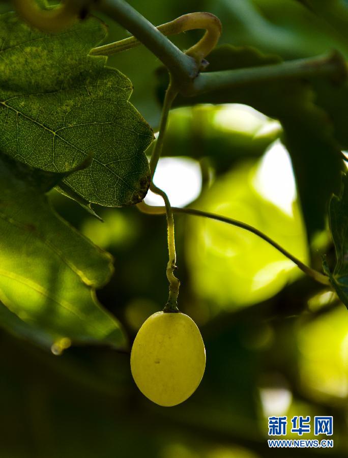 ���½�60�ꡤ���е��½����D�Ļ���(d��ng)����3�����������������ˣ����۹����ɴ��_(k��i)ʼ