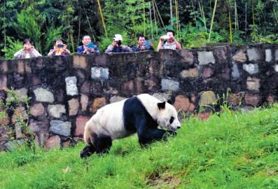 �ο͂�?y��u)顰���ǡ����ա? oldsrc=