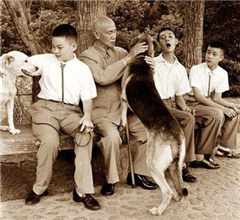 �Y��ʯ����Ƭ����(��i)�B(y��ng)����(��i)�������