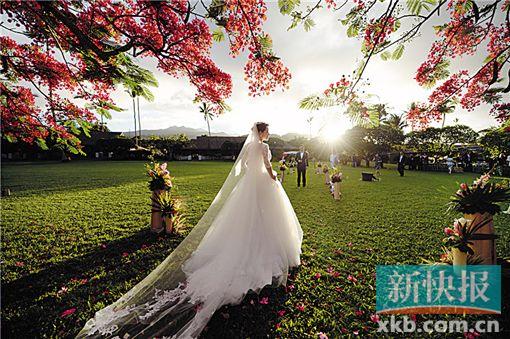 ꑴ�ϲ�@����΢����(b��o)ϲ��С���JƤ�w��𪣨�D��