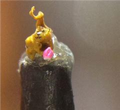 �_(t��i)����̼�ꐷ��@�̡�������С������ �H1����