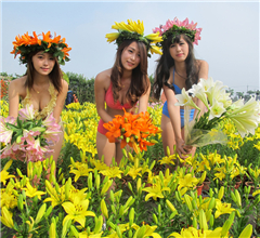 �_(t��i)�����õ͜�ʹ���Ժ��m�İٺϻ���ǰ�_��