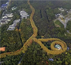 �Ͼ����g�m�F(xi��n)�������朡����^