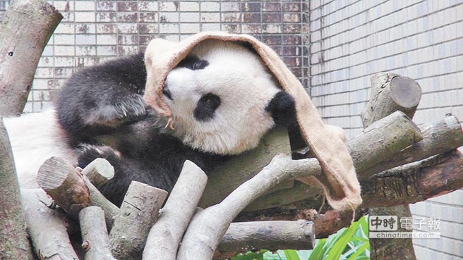 �A�и��������O(p��ng)�� ���_����߅��߅�桰���ȡ����D��