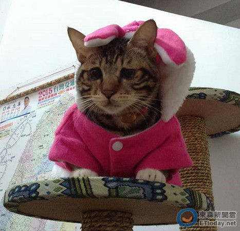 ��������ܟo�������DƬ��Դ���_(t��i)��ETtoday�|ɭ���ƾW(w��ng)վ��