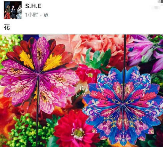 Selina離婚后S.H.E組合將合體 很快將推出新專輯